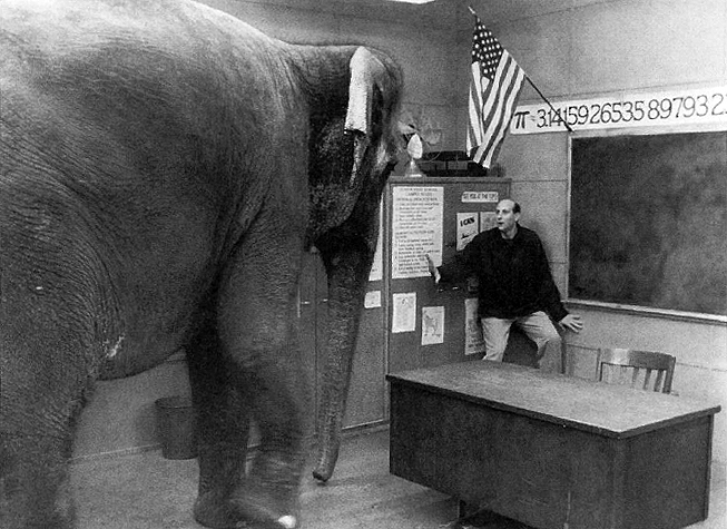 Where the Elephant Sits